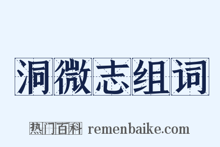 洞微志组词是什么意思的图片
